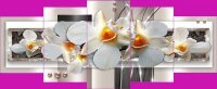 Белая орхидея на бежевом
